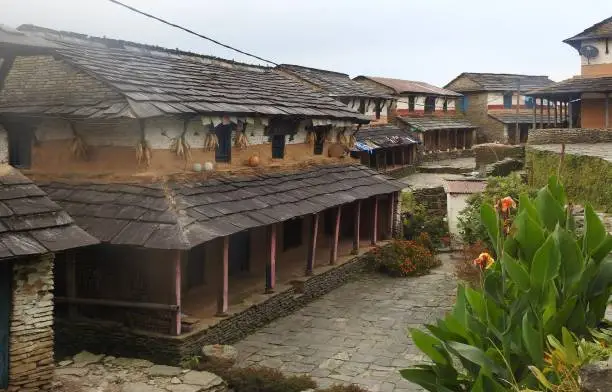Dhampus : Short treks in Nepal