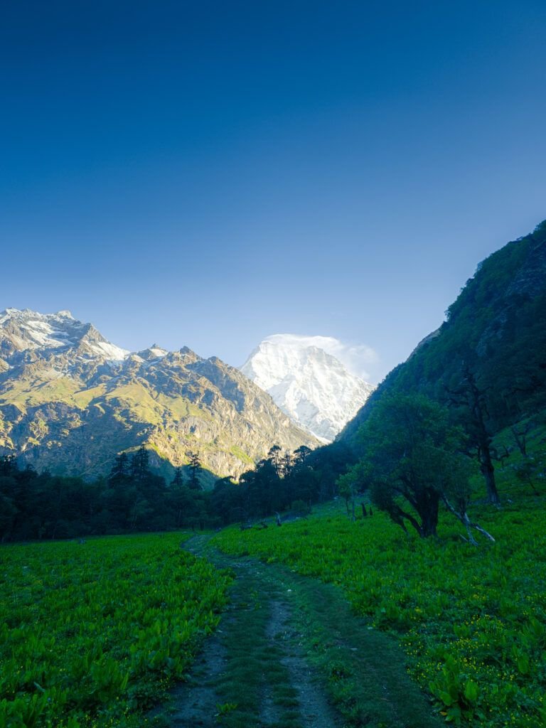 khaptad national park : beauty of far western region nepal